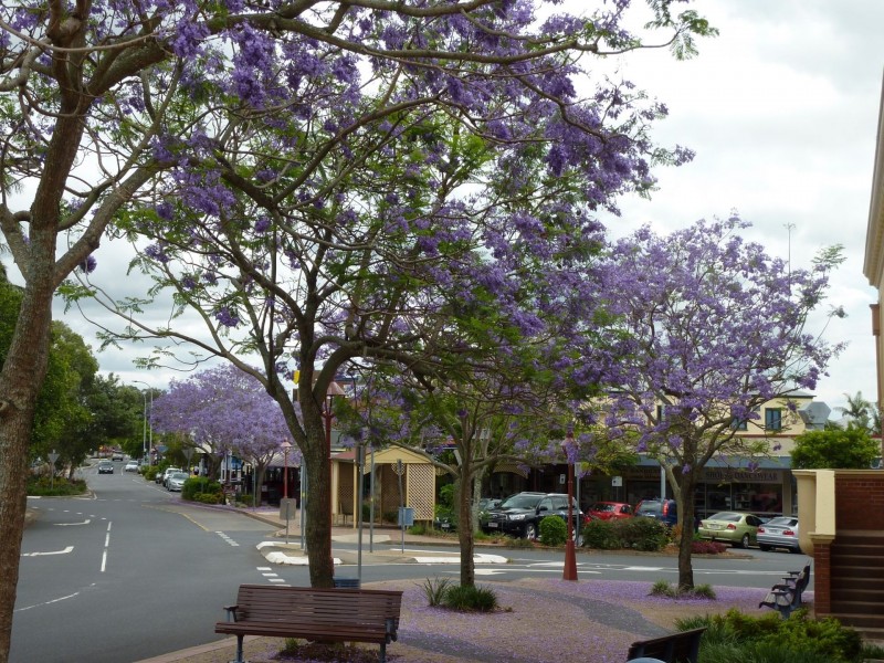 55A Rainbow Street, Sandgate QLD 4017