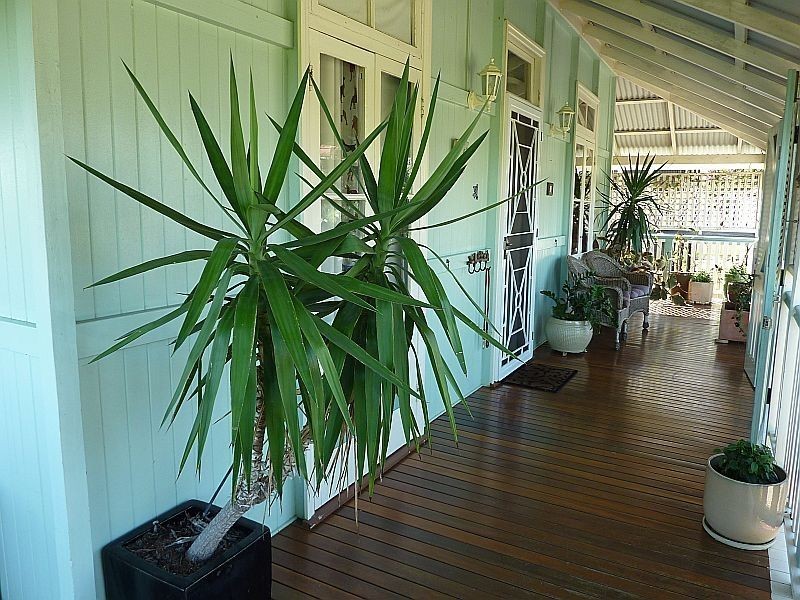 12 Lunn Street, Sandgate QLD 4017