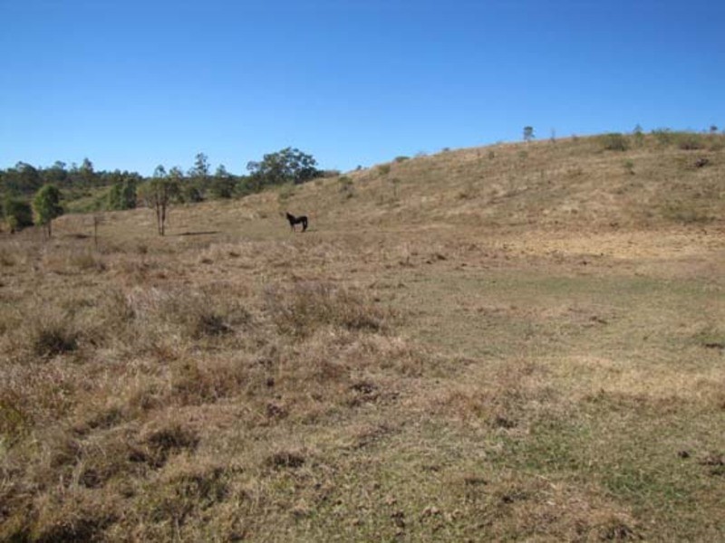 Calliope QLD 4680