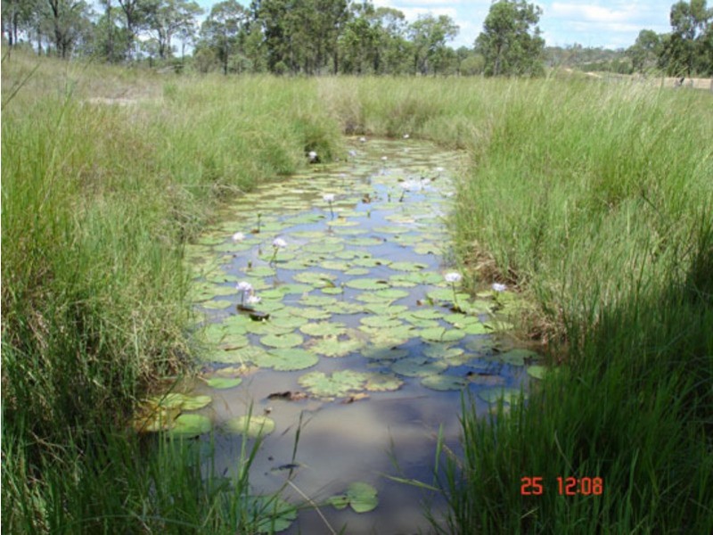 2320 Dawson Highway, Calliope QLD 4680