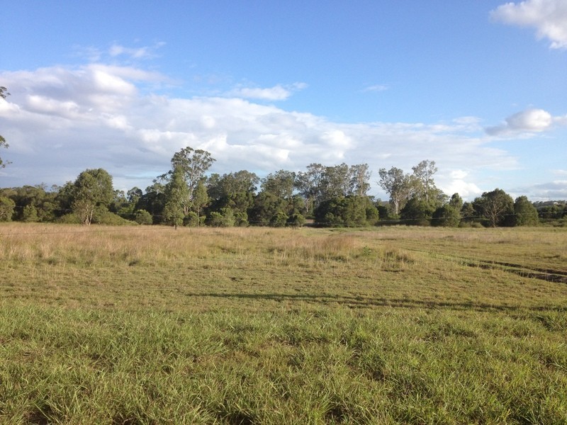 Bracewell QLD 4695