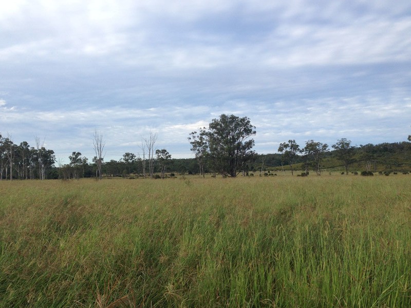 00 Ambrose Bracewell Rd, Ambrose QLD 4695