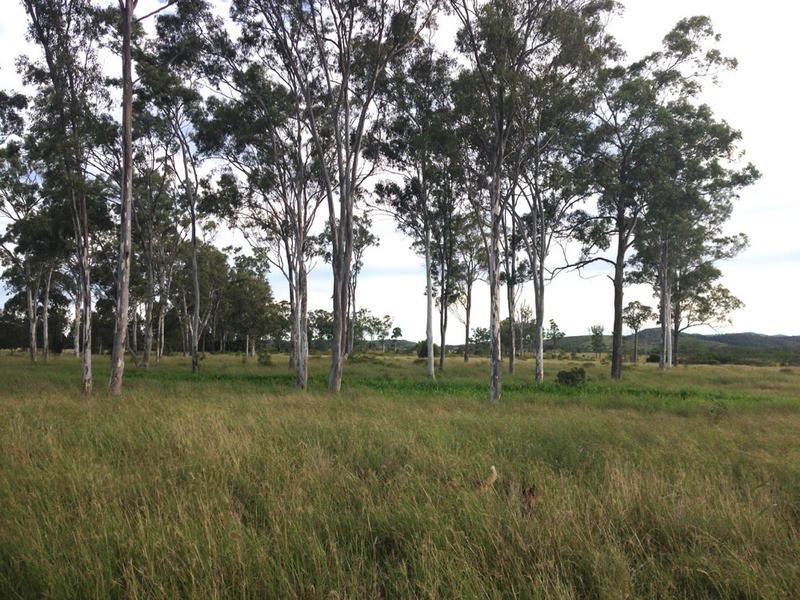 00 Ambrose Bracewell Rd, Ambrose QLD 4695