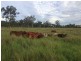 00 Ambrose Bracewell Rd, Ambrose QLD 4695