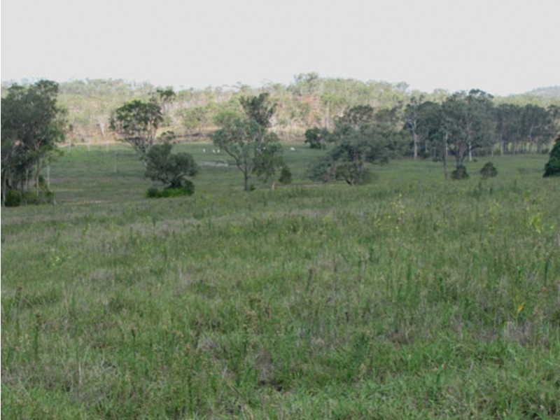 Lot 3 Bracewell Rd, Mount Larcom QLD 4695