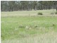 Lot 5 Bracewell Rd, Mount Larcom QLD 4695