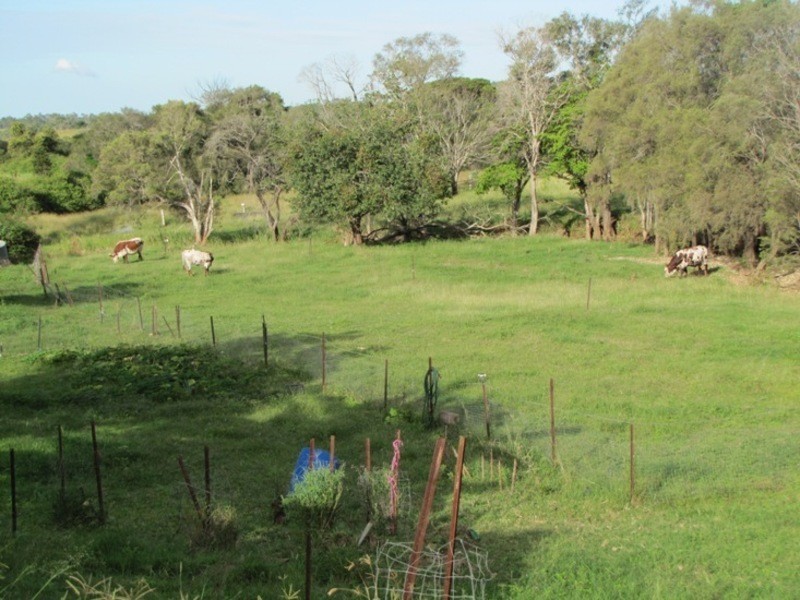 119 Aplin Rd, Mount Larcom QLD 4695