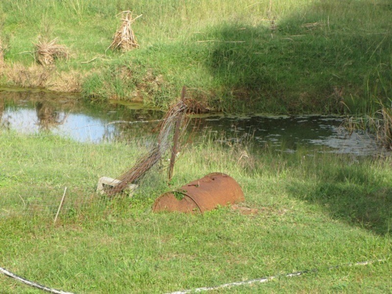 119 Aplin Rd, Mount Larcom QLD 4695