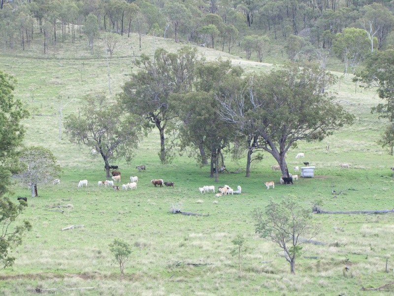 4820  Tablelands Road, Calliope QLD 4680