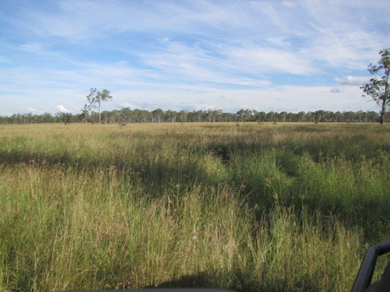 Mount Larcom QLD 4695