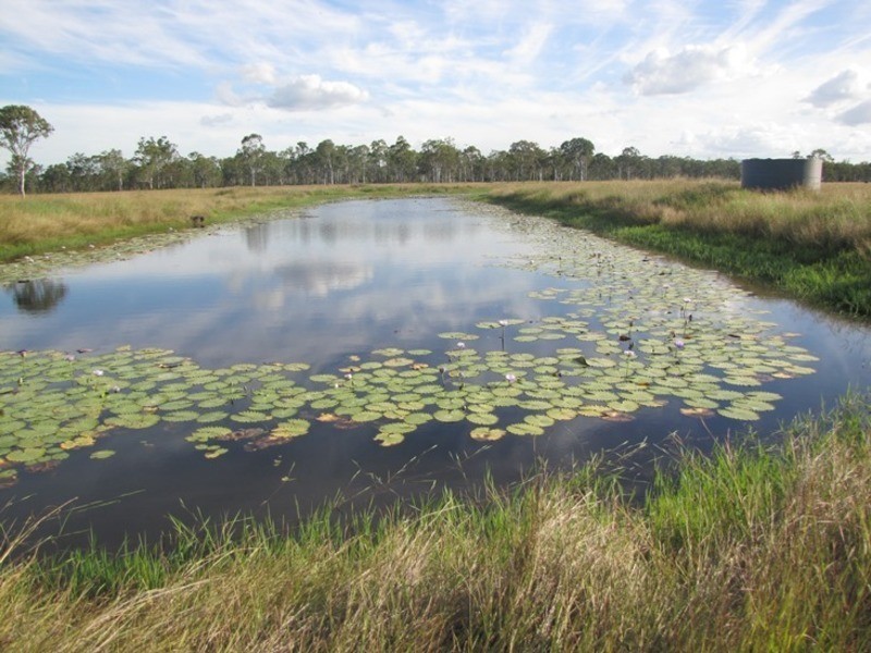 Mount Larcom QLD 4695