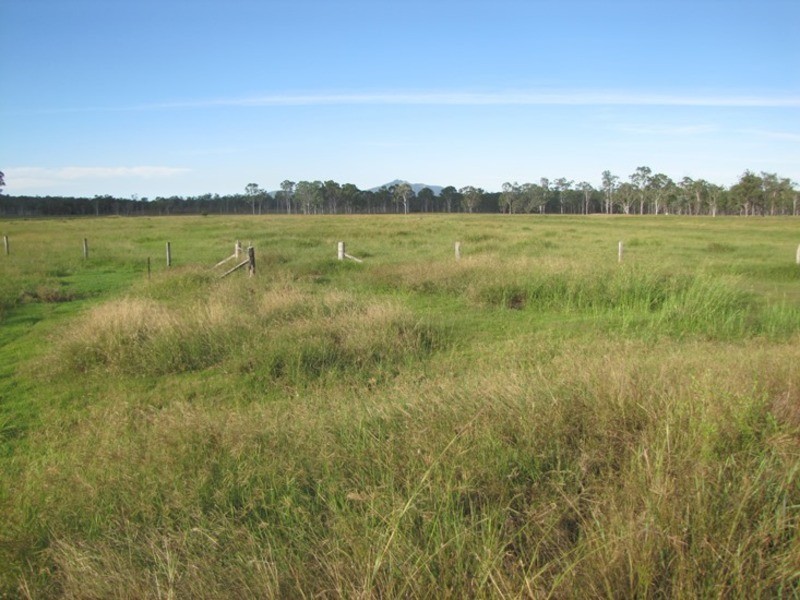 Mount Larcom QLD 4695