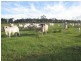 Calliope QLD 4680