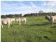 Calliope QLD 4680