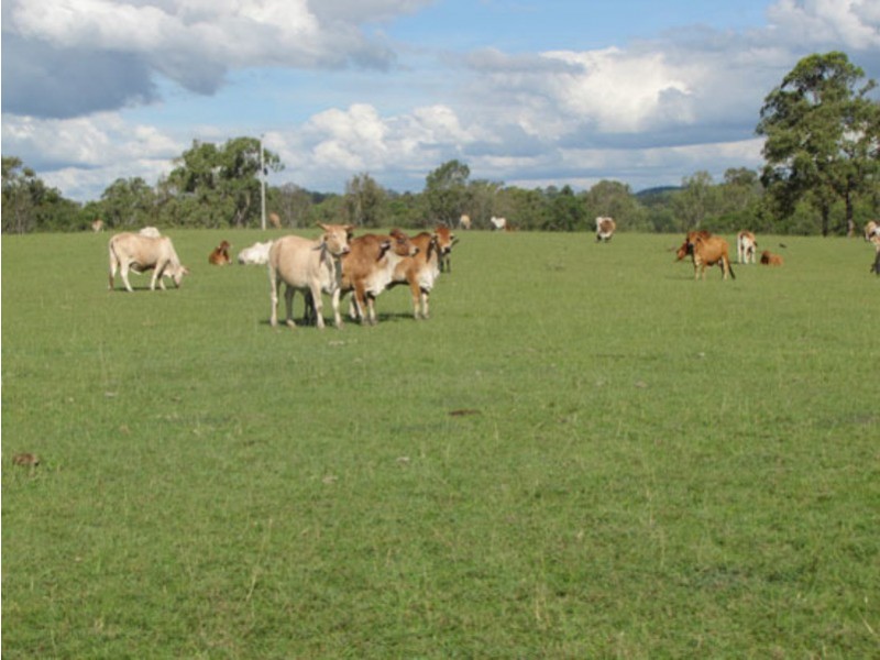 1097 Blackmans Gap Road, Miriam Vale QLD 4677