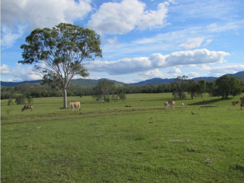 1097 Blackmans Gap Road, Miriam Vale QLD 4677