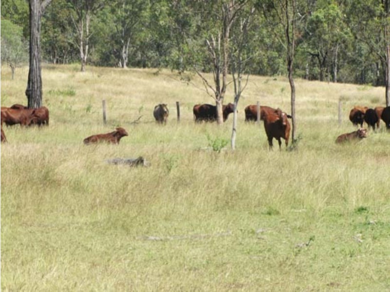 00 Tableland Rd, Calliope QLD 4680