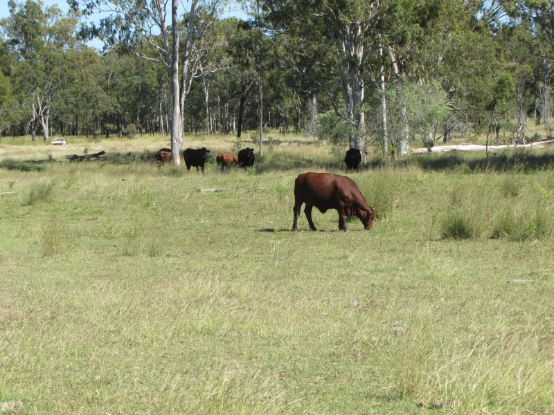 00 Tableland Road, Calliope QLD 4680