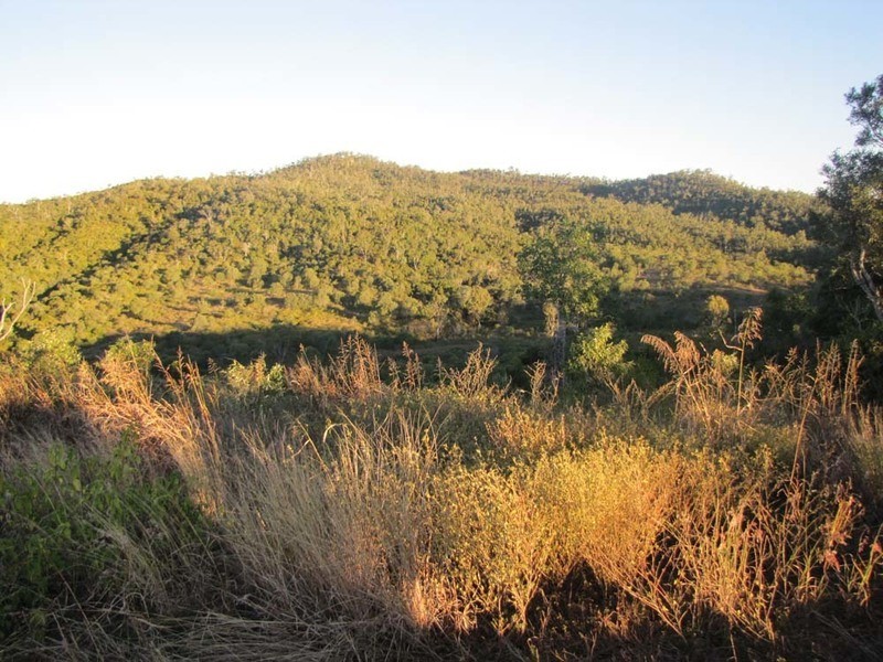 975  Deep Creek Road, Calliope QLD 4680