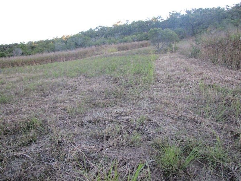 975  Deep Creek Road, Calliope QLD 4680