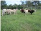 00 Off Gladstone Monto Rd, Boyne Valley QLD 4680