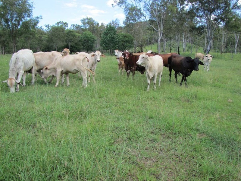00 Off Gladstone Monto Rd, Boyne Valley QLD 4680