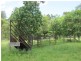 00 Off Gladstone Monto Rd, Boyne Valley QLD 4680