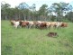 00 Off Gladstone Monto Rd, Boyne Valley QLD 4680