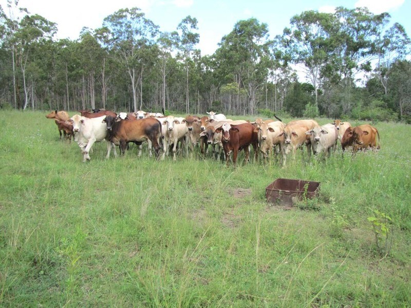 00 Off Gladstone Monto Rd, Boyne Valley QLD 4680