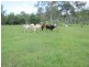 00 Gladstone Monto Rd, Calliope QLD 4680