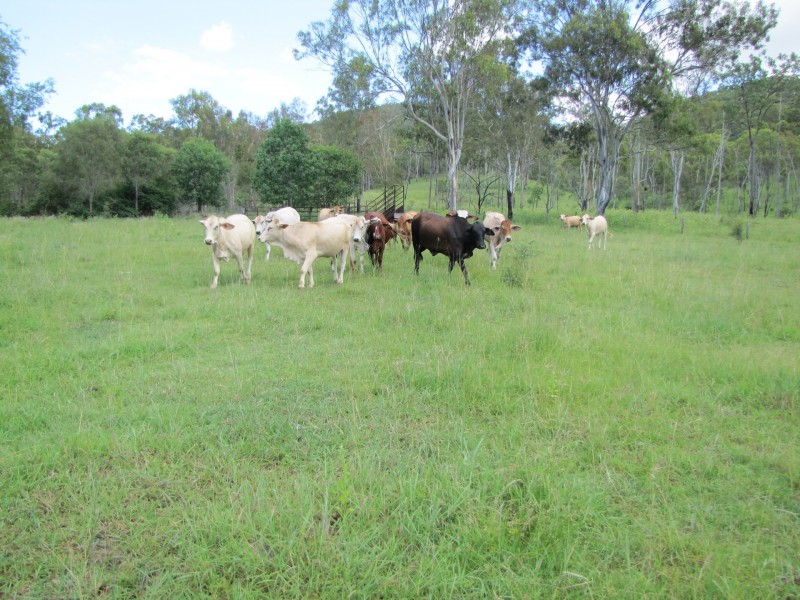 00 Gladstone Monto Rd, Calliope QLD 4680