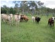 00 Gladstone Monto Rd, Calliope QLD 4680