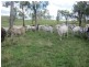 00 Marsh Road, Calliope QLD 4680