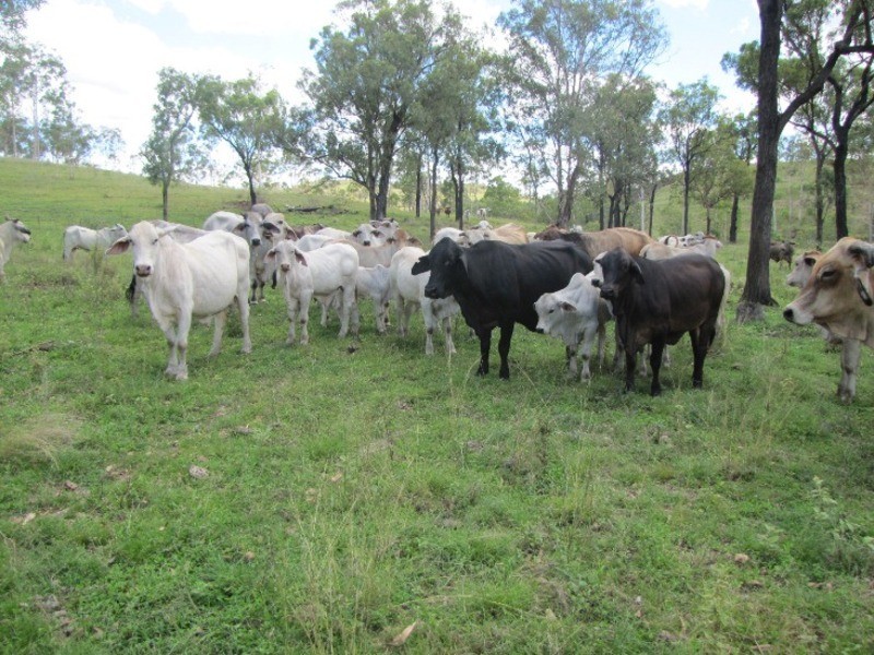 00 Marsh Road, Calliope QLD 4680