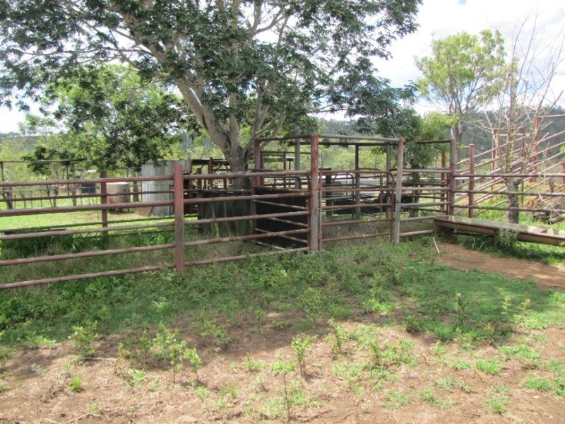 00 Marsh Road, Calliope QLD 4680