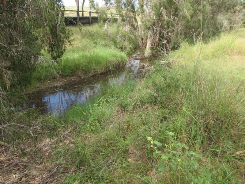 00 Racecourse Rd, Calliope QLD 4680