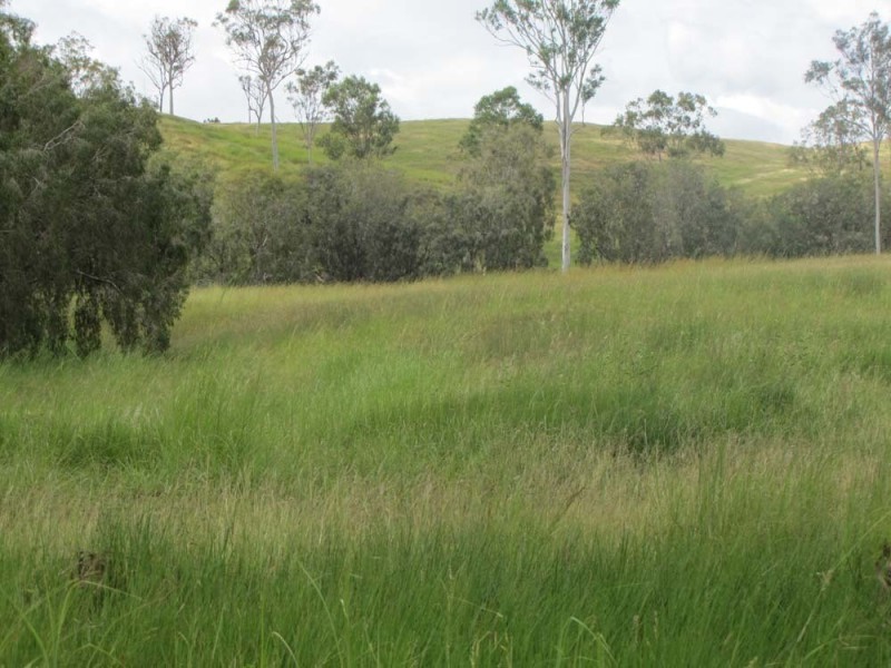 00 Racecourse Rd, Calliope QLD 4680