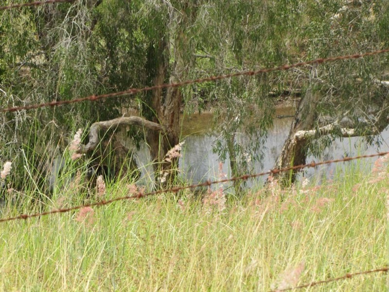 00 Racecourse Rd, Calliope QLD 4680