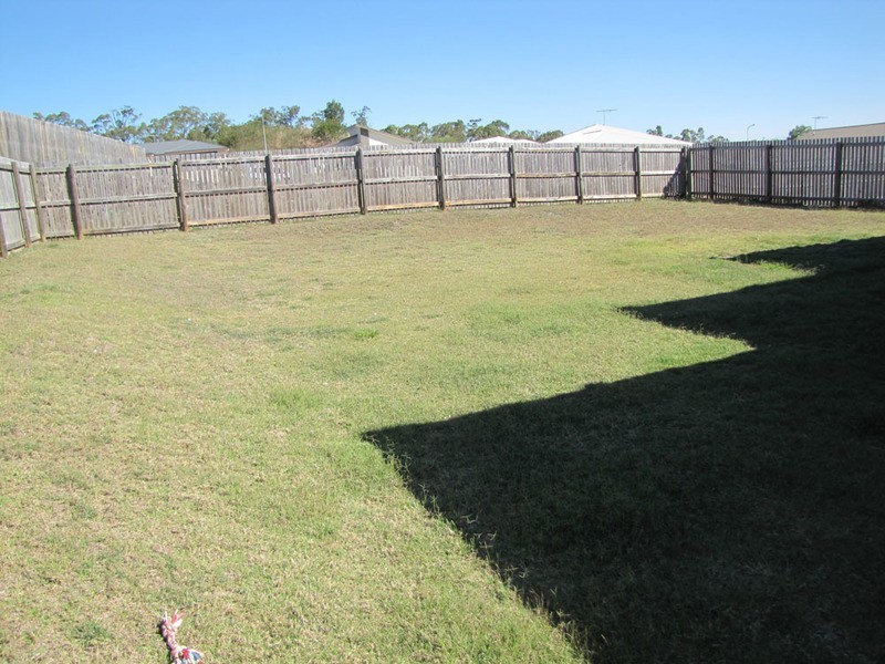 41 Drynan Drive, Calliope QLD 4680