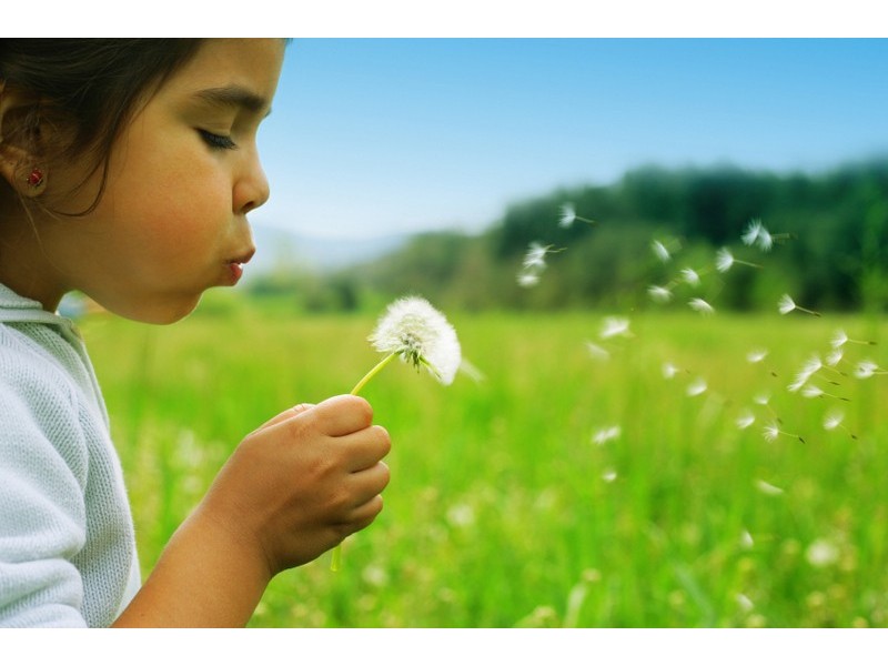 Lot 60 Trudy Avenue, Calliope QLD 4680