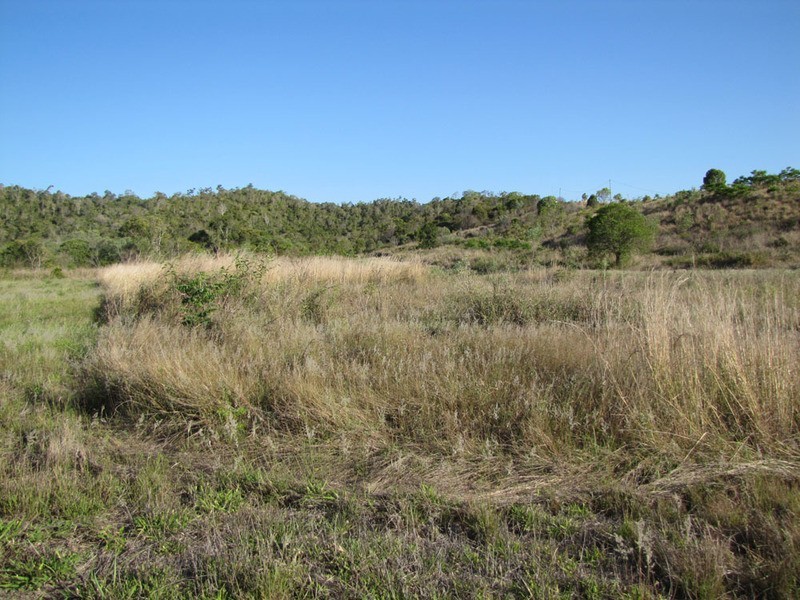 485 Potters Rd, Calliope QLD 4680
