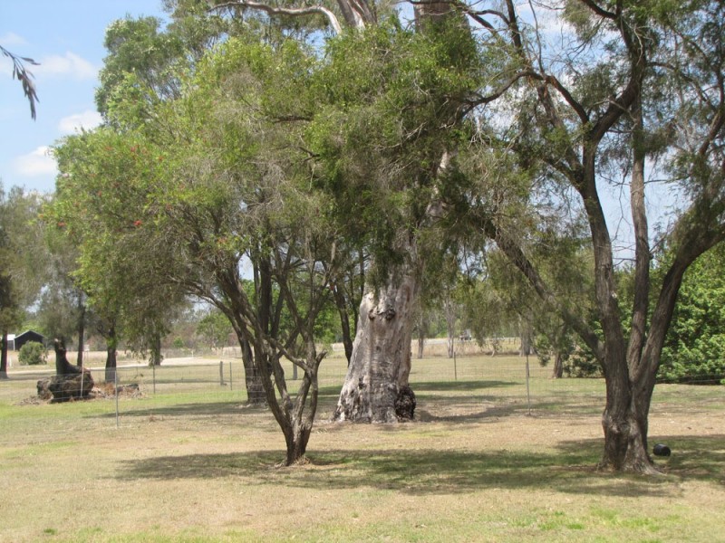 9 Sutherland Street, Calliope QLD 4680