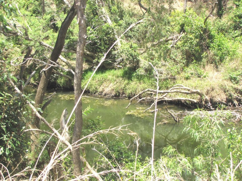 295 Tableland Rd, Calliope QLD 4680