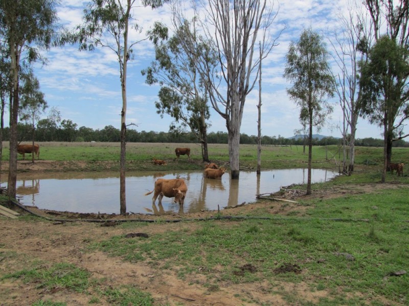 295 Tableland Rd, Calliope QLD 4680