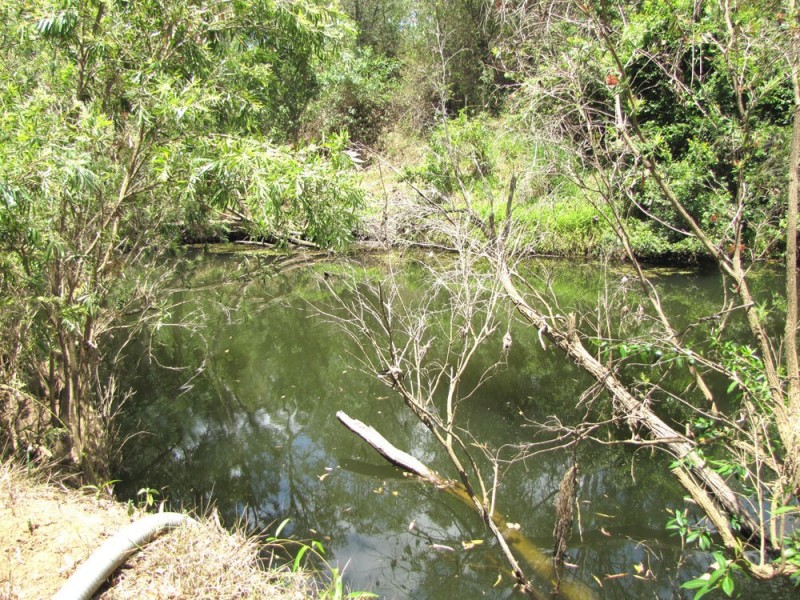 295 Tableland Rd, Calliope QLD 4680