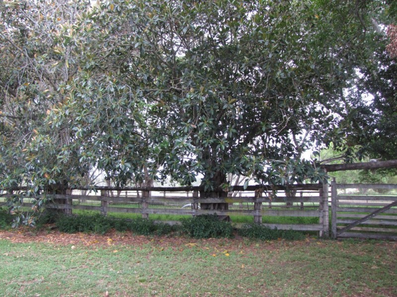 00 Milton Street, Boyne Valley QLD 4680