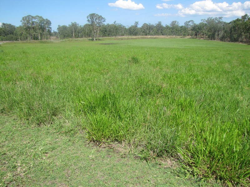 00 Bruce Highway, Bororen QLD 4678
