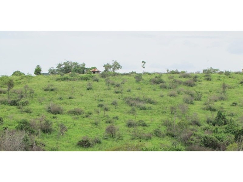 103 Boneham Rd, Mount Larcom QLD 4695