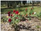 Lot 2/55 Gentle Annie Rd, Ambrose QLD 4695