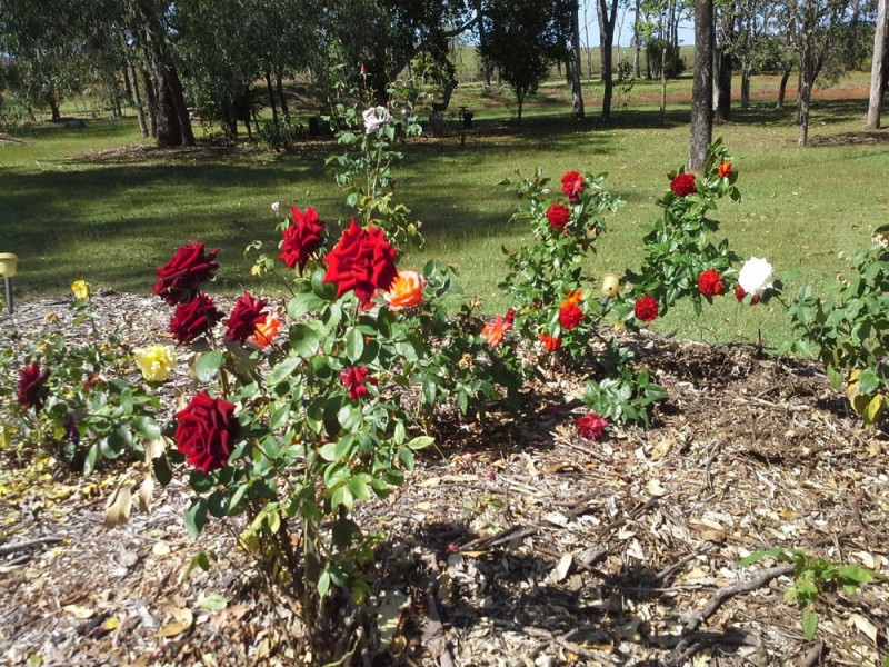 Lot 2/55 Gentle Annie Rd, Ambrose QLD 4695